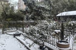 扬州小院｜雪落在家门口的治愈感