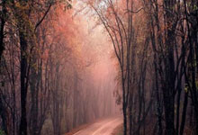 4月14日星期二，农历二月廿七，工作愉快，平安喜乐