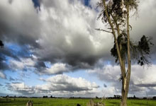 4月18日星期六，农历三月初二，周末愉快，平安喜乐